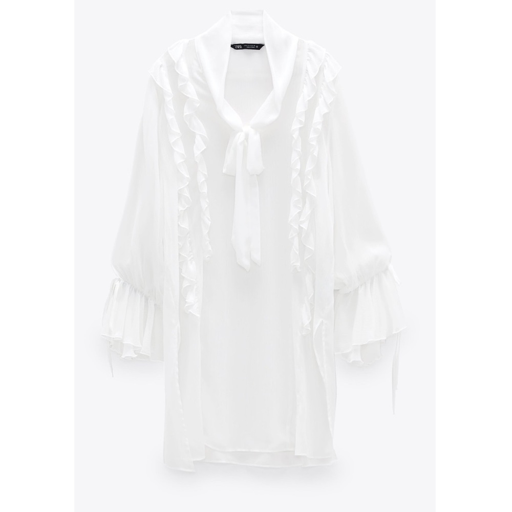 Zara Chiffon Ruffled Blouse - Picture 2 of 9